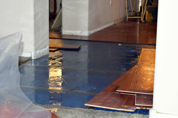 Professional Water Damage technician working in Leakey, TX